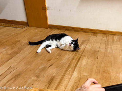 IMG_0968