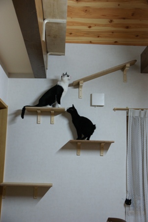 画像 162