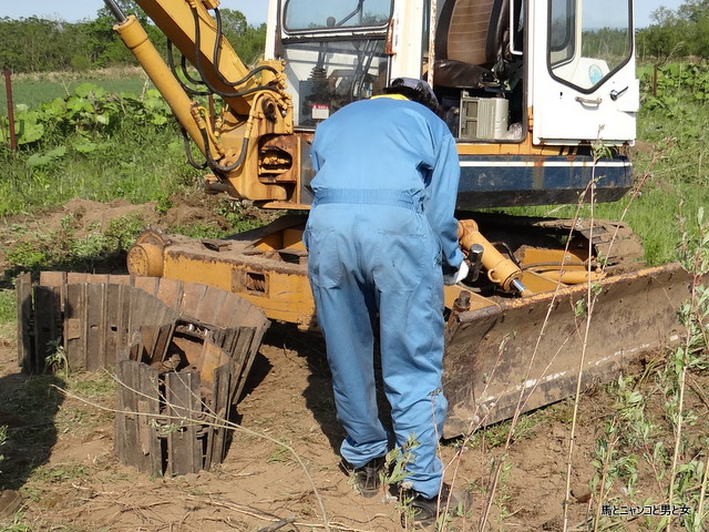 d40401e6.jpg