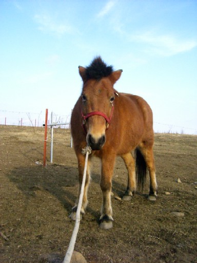 20061223193657.jpg