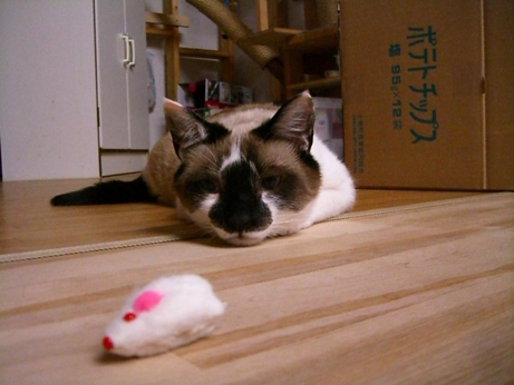 20070526232502.jpg