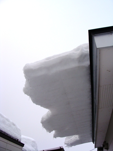 DSC04560-1.jpg
