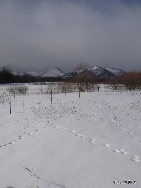 DSC06240.jpg