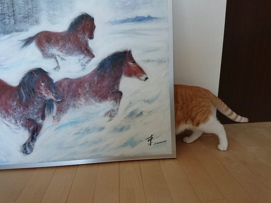 DSCPDC_0001_BURST20180213114731378_COVER