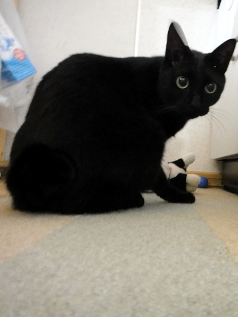 DSC01285.jpg