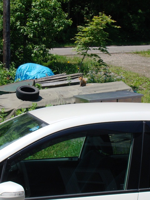 DSC06725.jpg