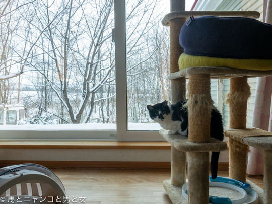 _DSC0451