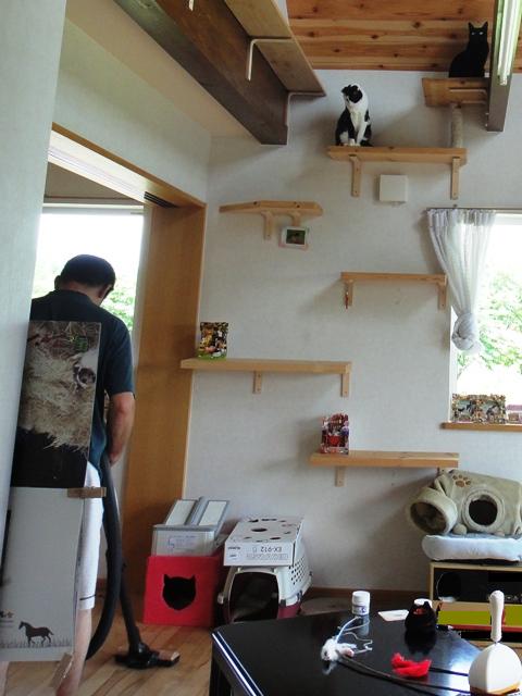 DSC01125.jpg