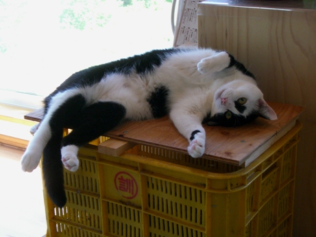 20070815235320.jpg