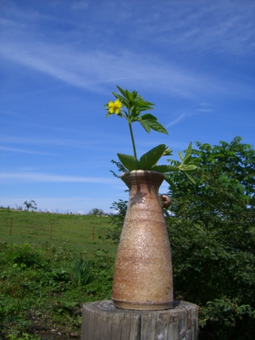 20060902234501.jpg