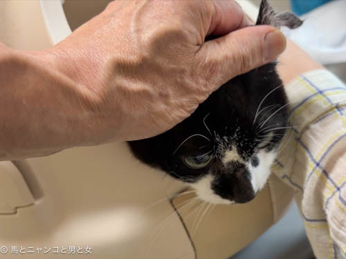 最新の写真を表示 3