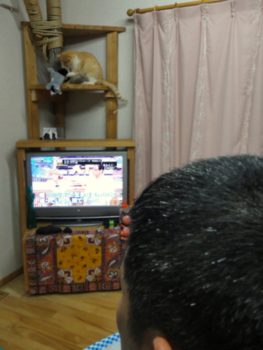 DSC00758.jpg