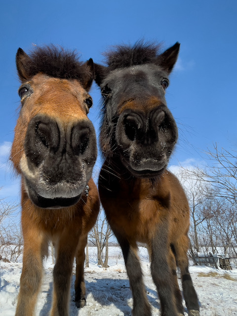 IMG_8938のコピー