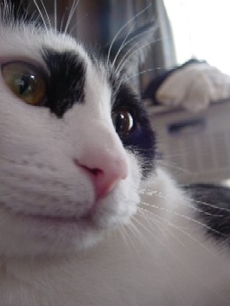 20060206210516.jpg