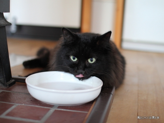 e762c8b3.jpg
