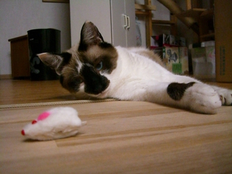 20070526232448.jpg