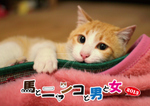 カレンダー表紙2013(10.28データ)