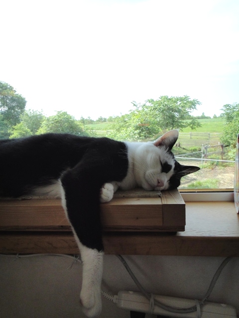 DSC00448_20100621234849.jpg