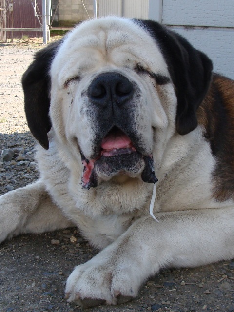 DSC06275.jpg