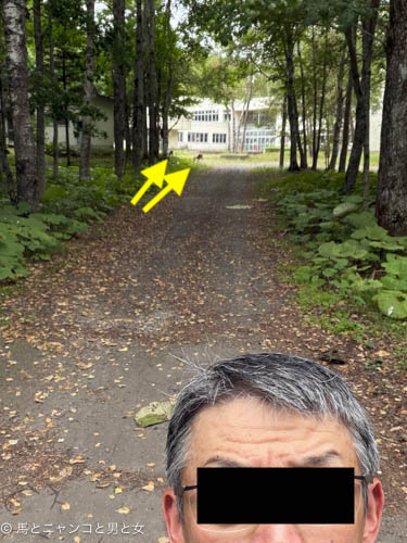 IMG_1137