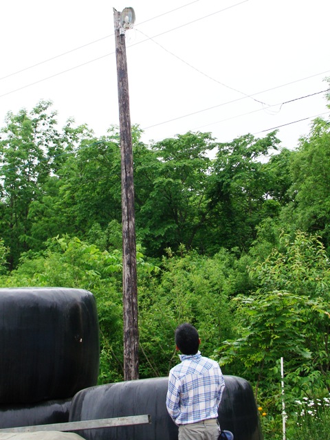 DSC06025.jpg