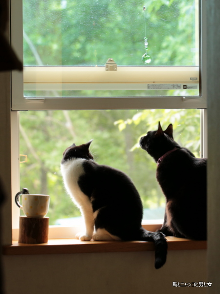 6R3A8418.jpg