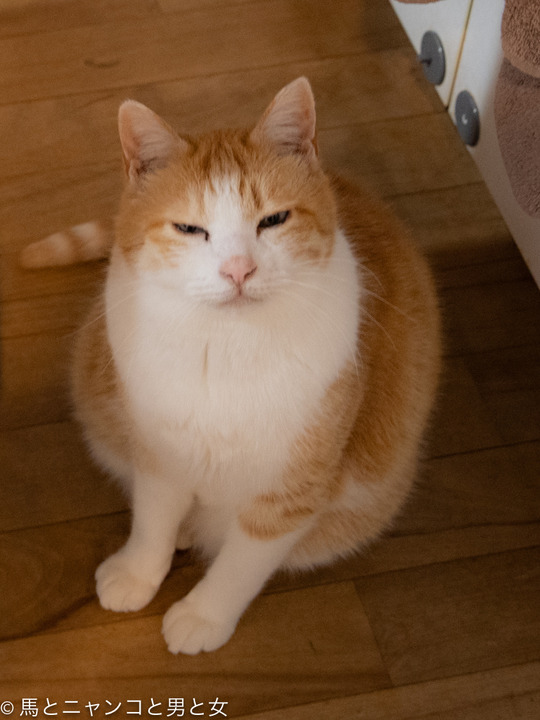 DSC03063