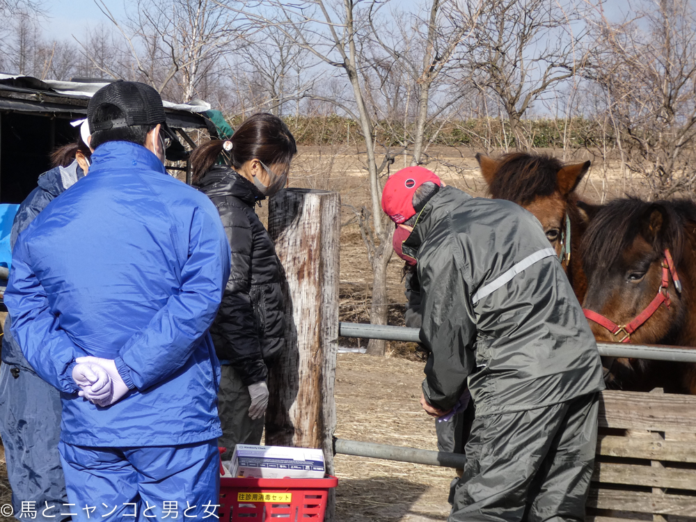 信じられない 馬とニャンコと男と女 Powered By ライブドアブログ