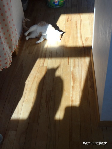 DSC03011.jpg