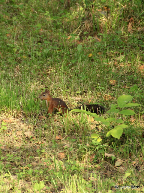 IMG_2380.jpg