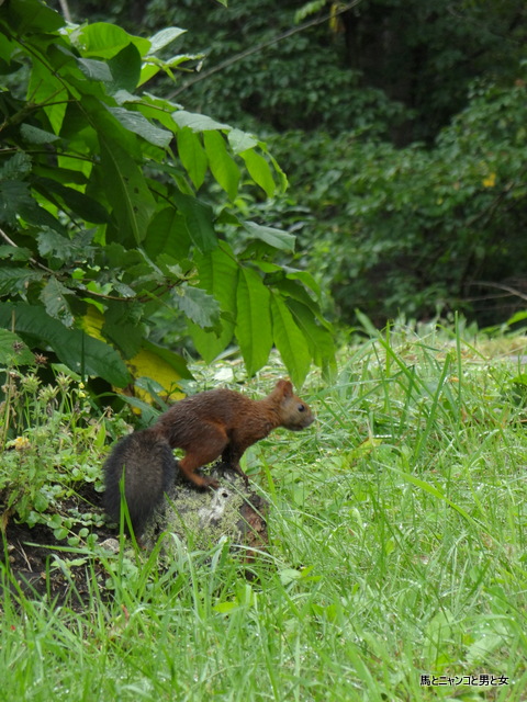 DSC08751.jpg