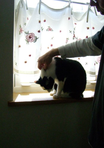 20070316231743.jpg