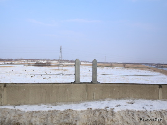 6R3A9182