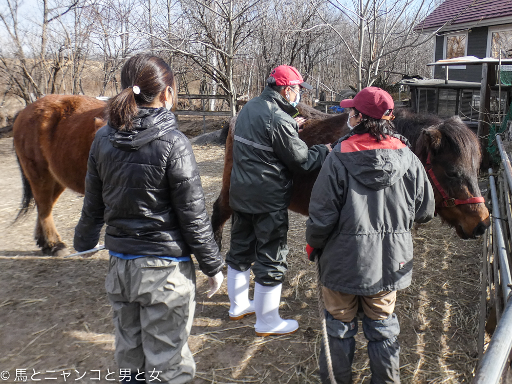信じられない 馬とニャンコと男と女 Powered By ライブドアブログ