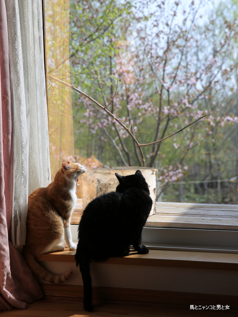 6R3A8655.jpg