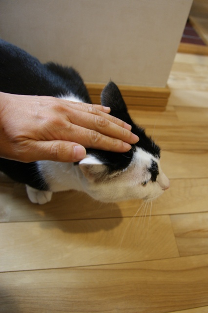 DSC01912.jpg