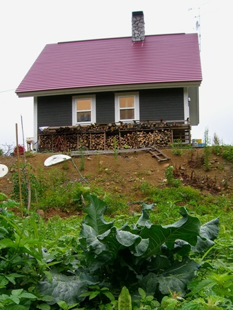 20070715232059.jpg
