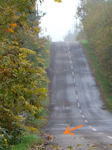 004_20111018191456.jpg