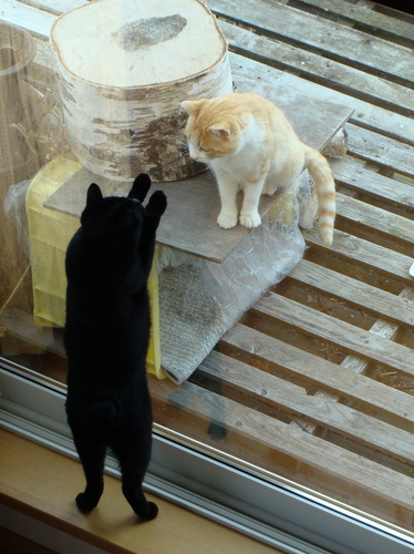 DSC07853.jpg