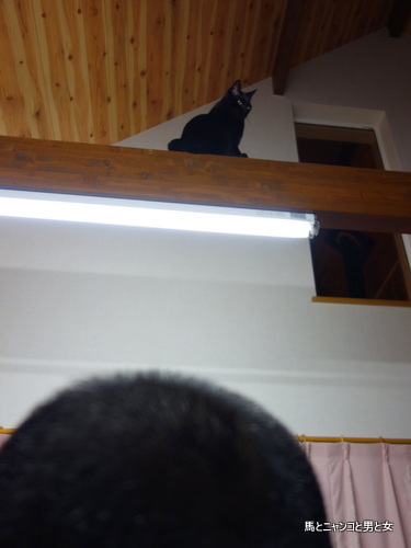 DSC00059.jpg