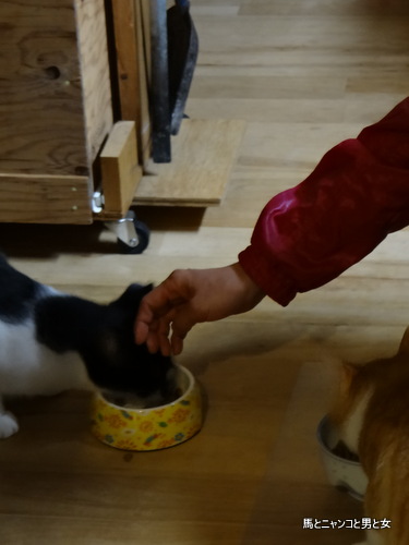 DSC01427.jpg