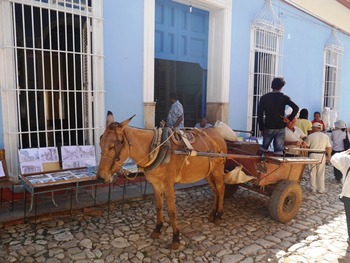 P1090248