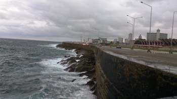 P1090419-6