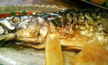 12efe957.jpg