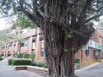P1160492
