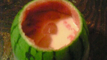 24293d81.jpg