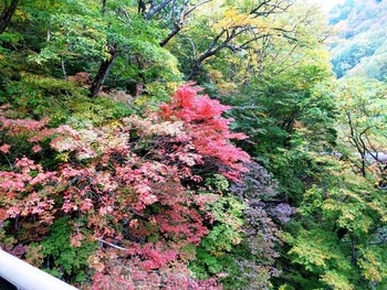 12045746_681121148691117_7033370775117746386_o