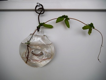 P1100301
