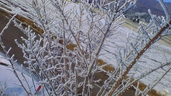 b22834ab.jpg