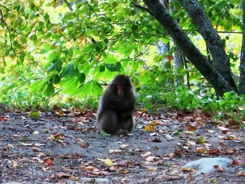 12068696_681121202024445_5359572241034595102_o